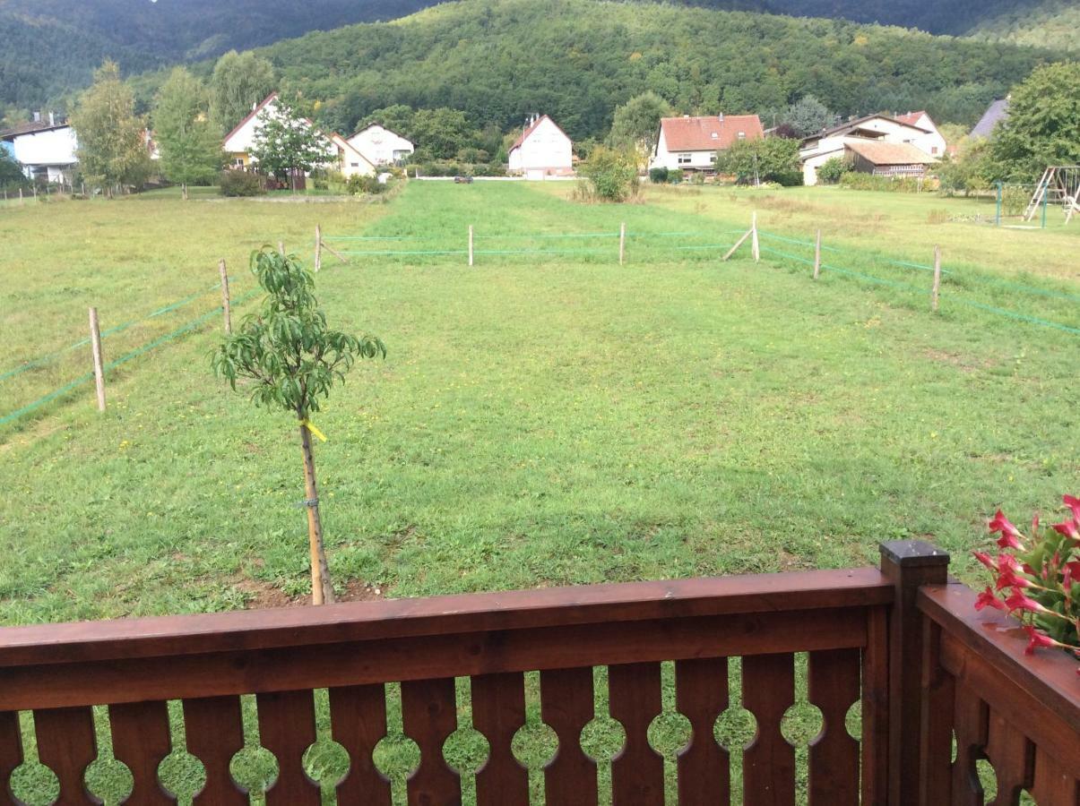 Chalet Colline Et Lou Wintzfelden Exterior foto
